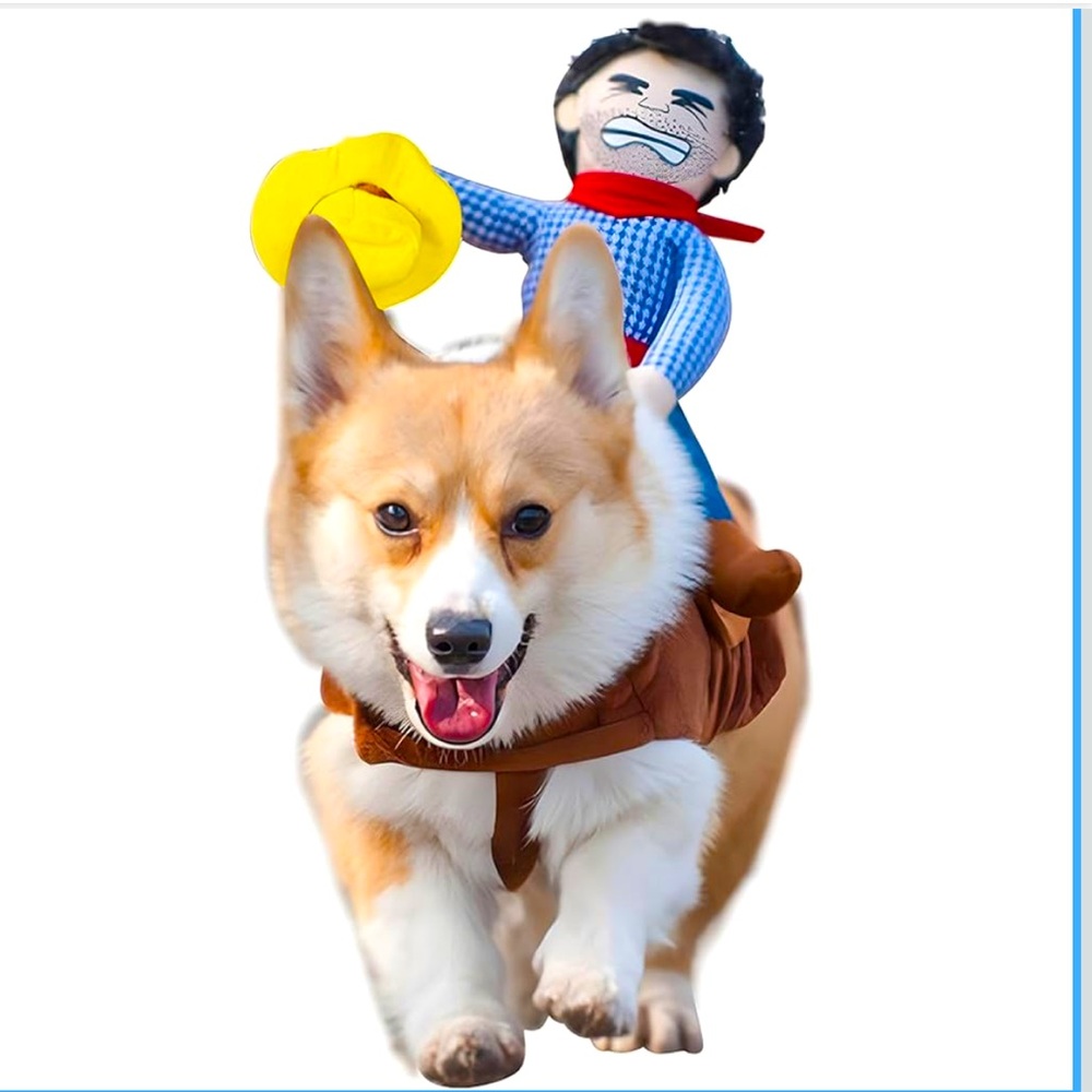 Dog Halloween Costume”Cowboy Rodeo Rider” - Picture 1 of 9